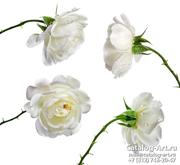 Натяжные потолки с фотопечатью - Белые розы 13